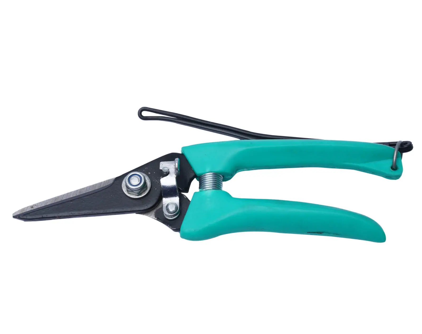 Secateur SPS-105, Economy